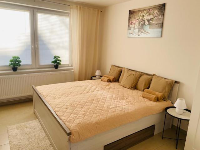 Ferienhaus Damian Cuxhaven Zewnętrze zdjęcie